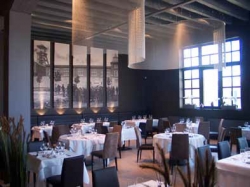 Alles over TERRAE